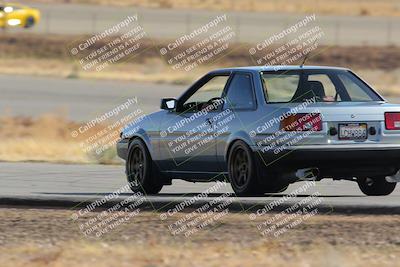 media/Feb-22-2025-Team Topak Racing (Sat) [[cb57a51a40]]/86 Party Brigade/Turns 2 and 4/